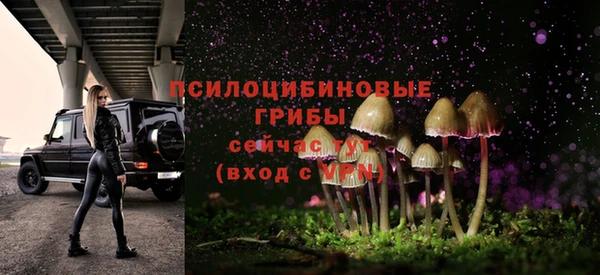 метадон Аркадак