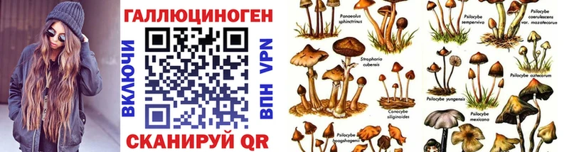 магазин продажи наркотиков  Давлеканово  Псилоцибиновые грибы MAGIC MUSHROOMS 